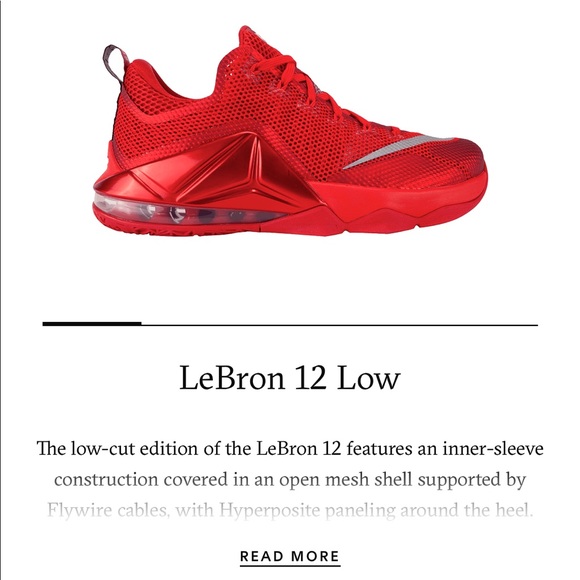 Nike Other - LEBRON JAMES Nike XII  LOW  👟 👟